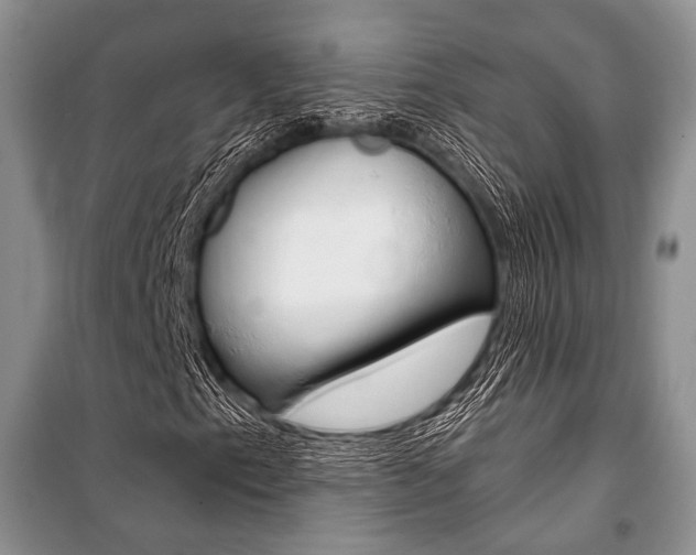 X0000101111153200806261102