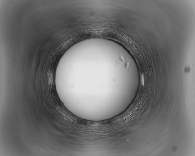 X0000101111155200806261102