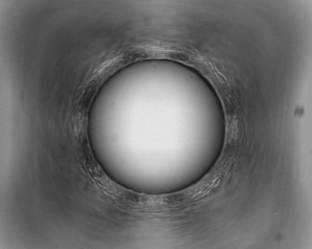 X0000101111157200806261102