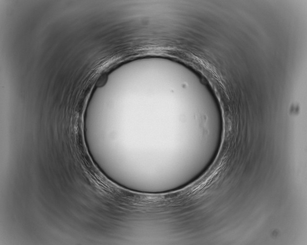 X0000101111161200806261102