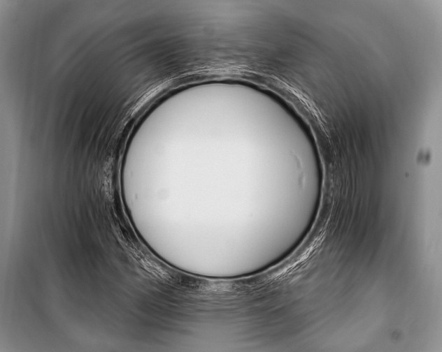 X0000101111162200806261102