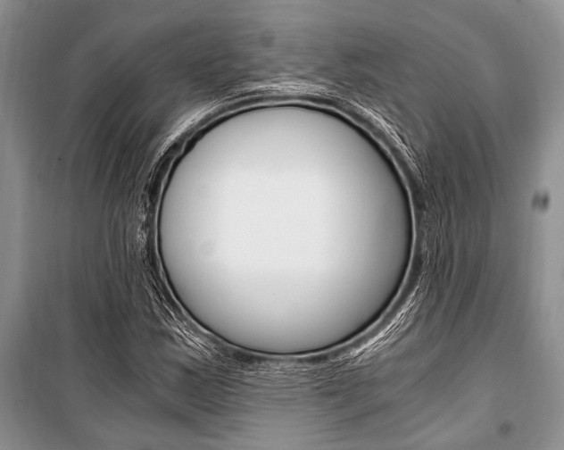 X0000101111163200806261102