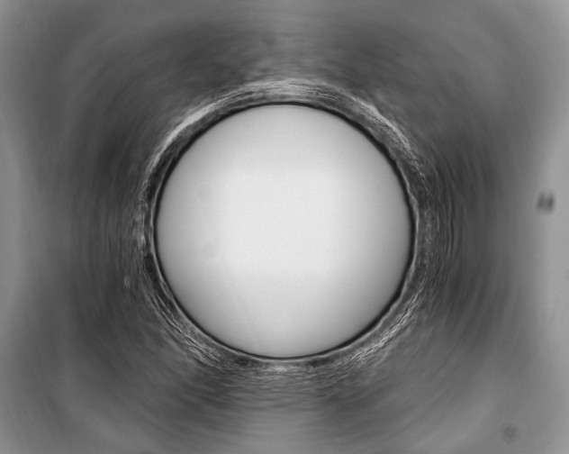 X0000101111166200806261102