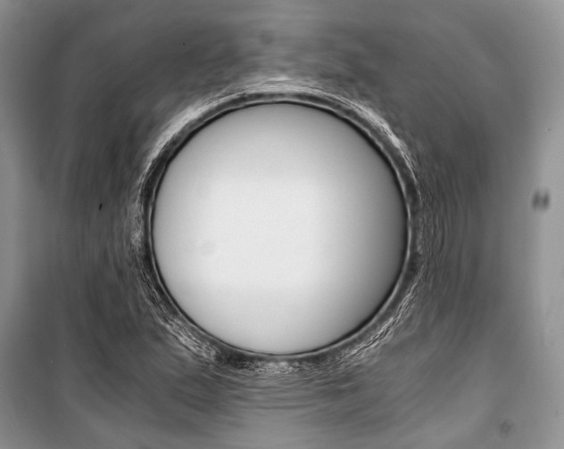 X0000101111167200806261102