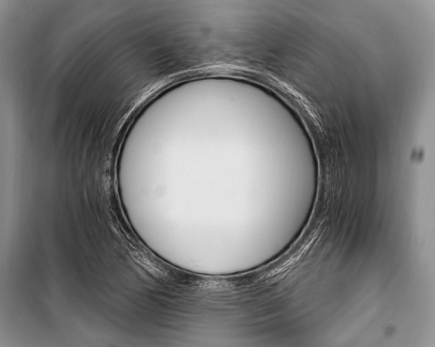 X0000101111170200806261101