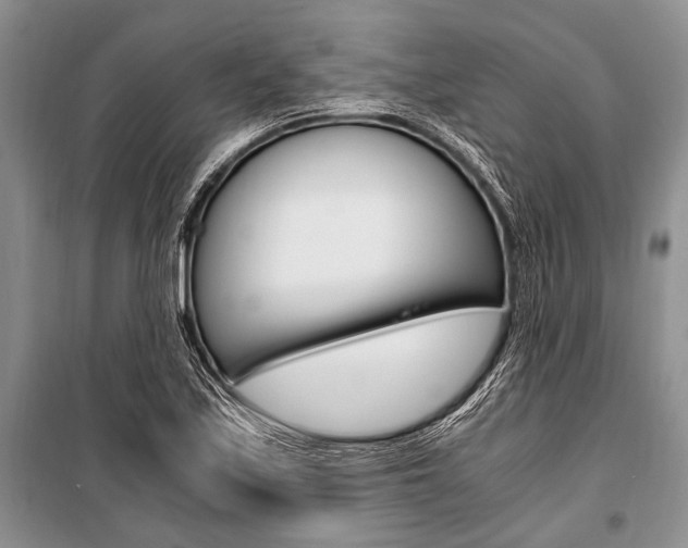 X0000101111171200806261101
