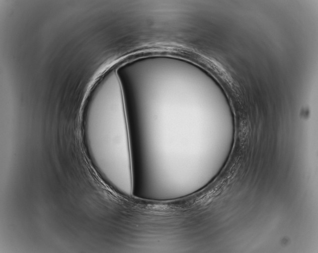 X0000101111172200806261101