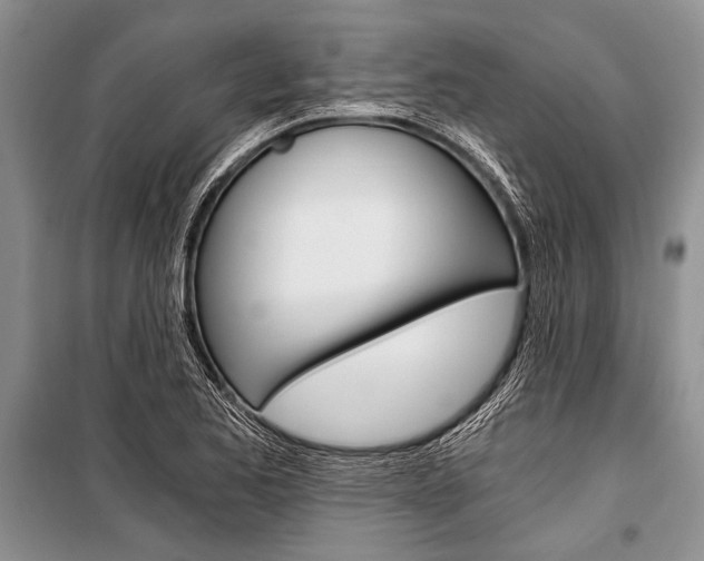X0000101111173200806261101