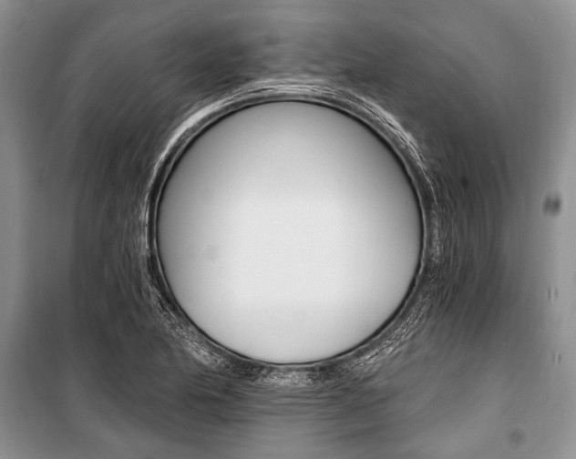 X0000101111174200806261101