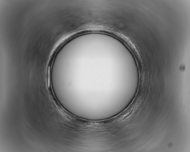 X0000101111175200806261101