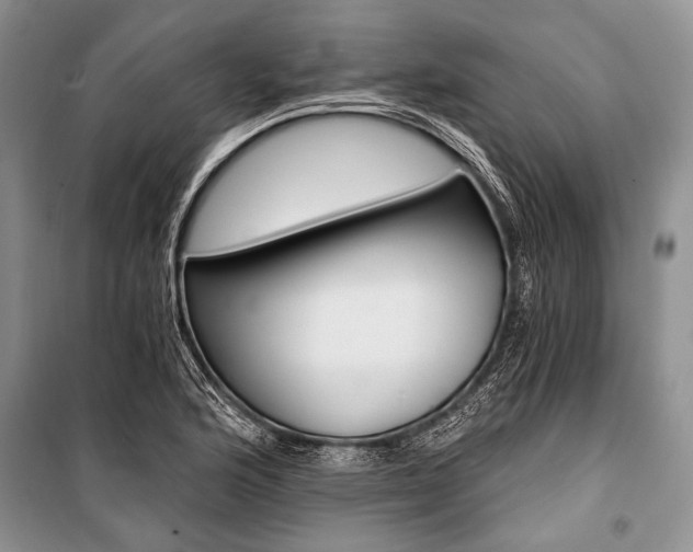 X0000101111176200806261101