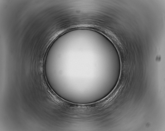 X0000101111177200806261101