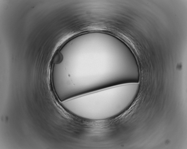 X0000101111179200806261101
