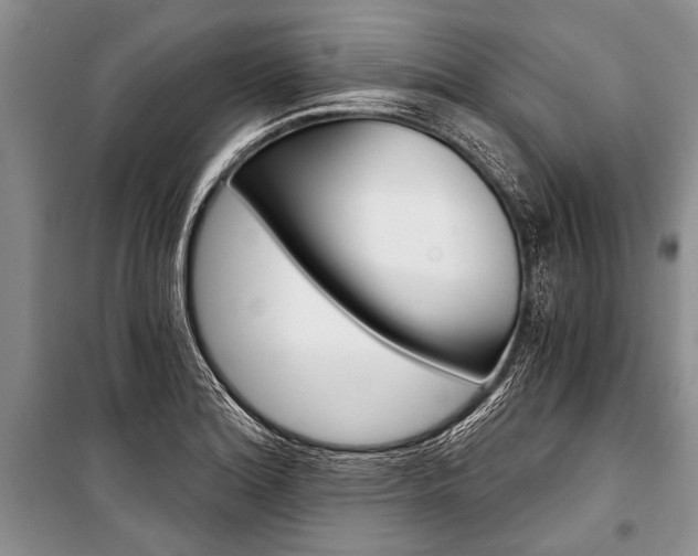 X0000101111180200806261101