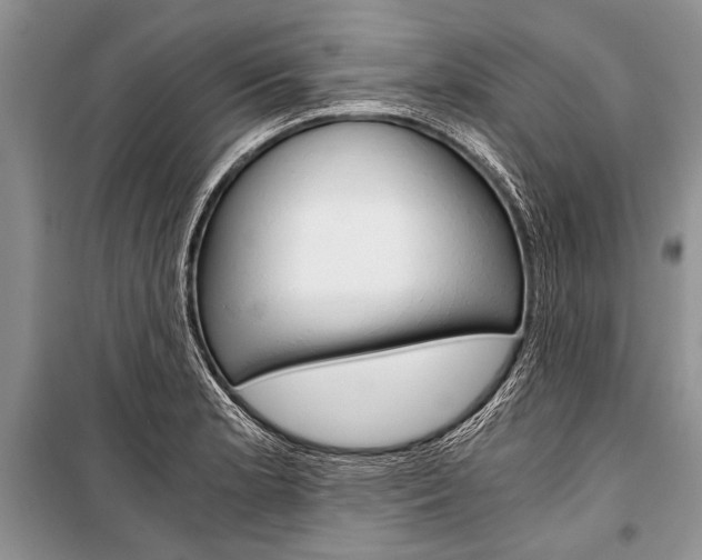 X0000101111181200806261101