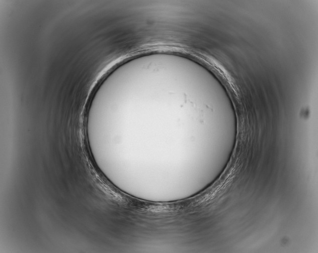 X0000101111182200806261101