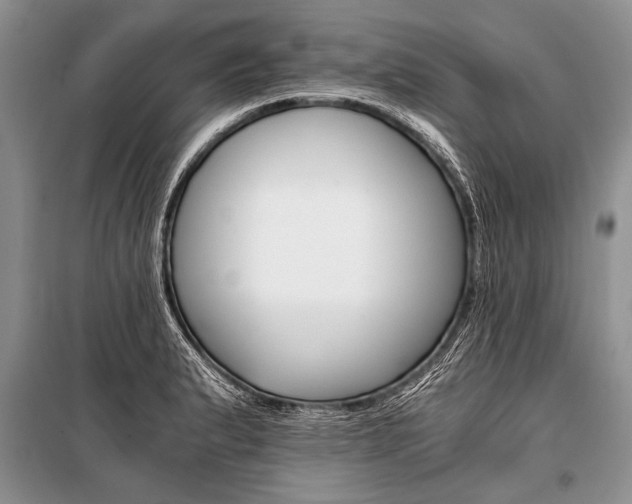 X0000101111183200806261101