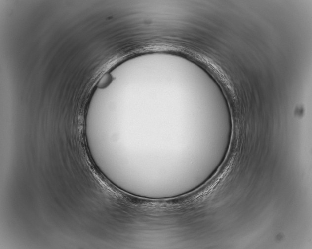 X0000101111185200806261101
