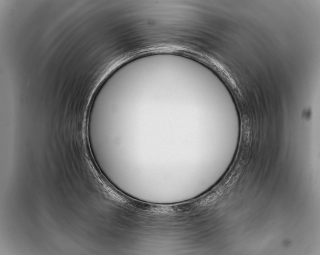 X0000101111186200806261101