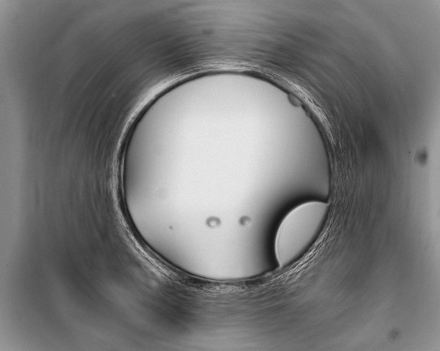 X0000101111187200806261101