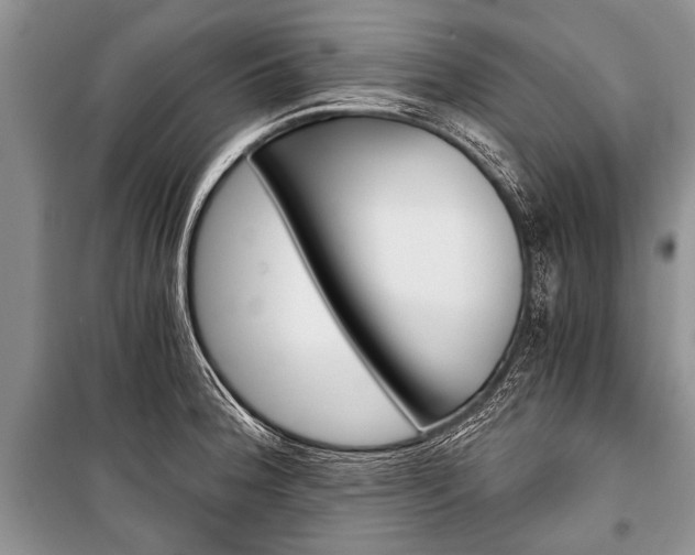 X0000101111188200806261101