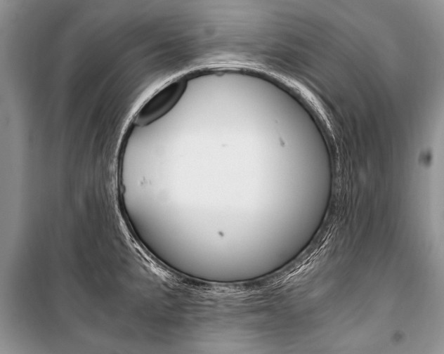X0000101111191200806261101