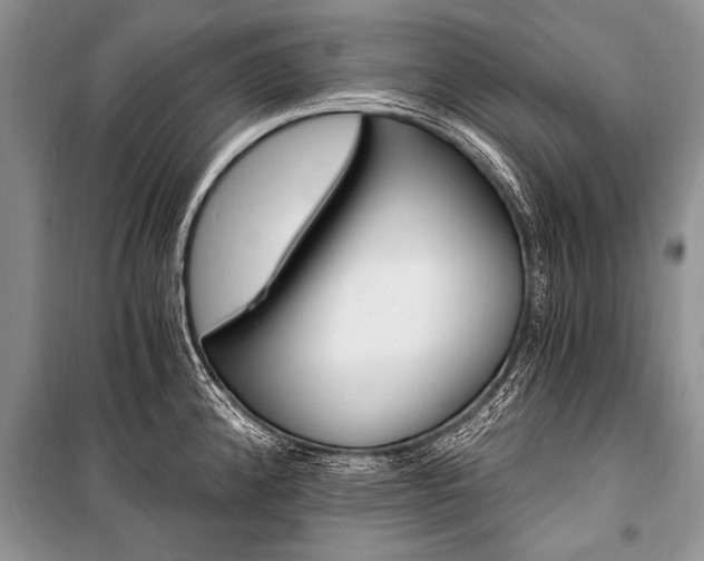 X0000101111192200806261101