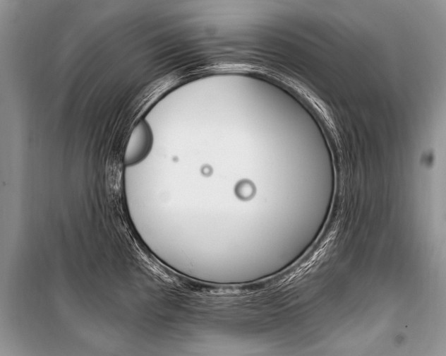 X0000101111193200806261101