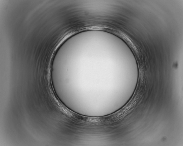 X0000101111194200806261101