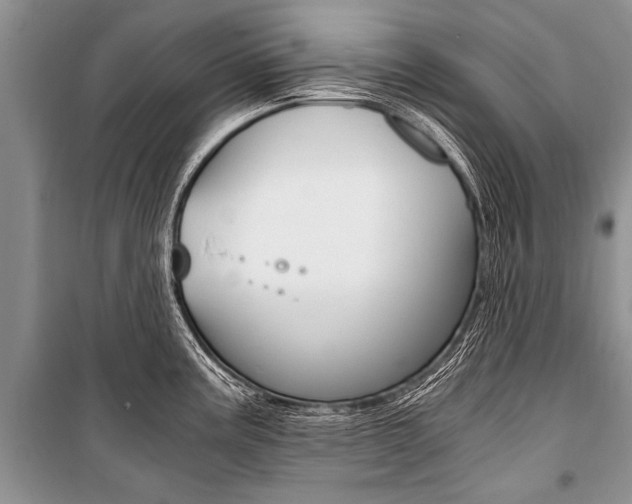 X0000101111195200806261101