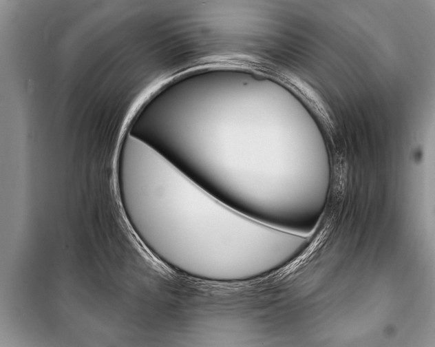 X0000101111196200806261101