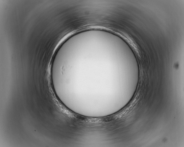 X0000101111198200806261101