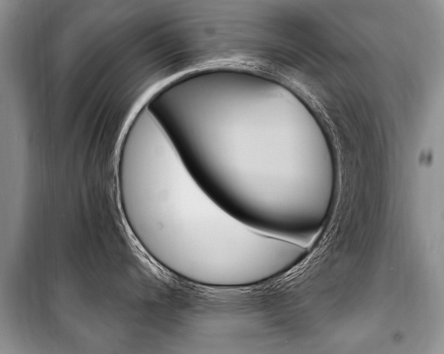 X0000101111200200806261101