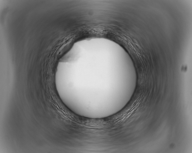 X0000101111201200806261100