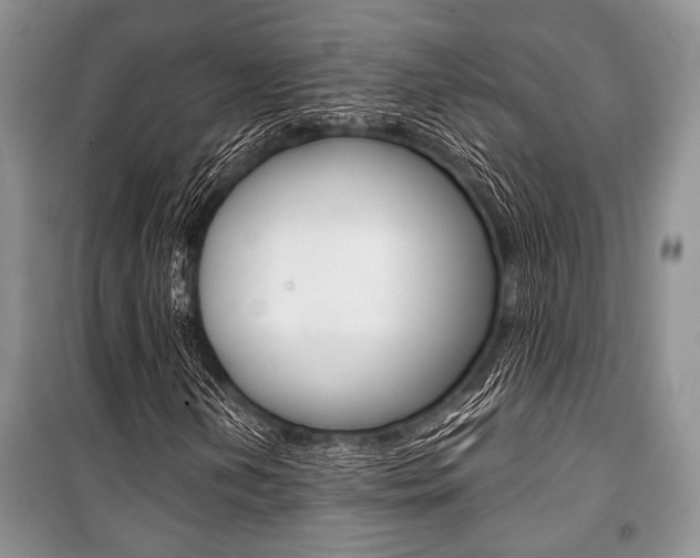 X0000101111202200806261100