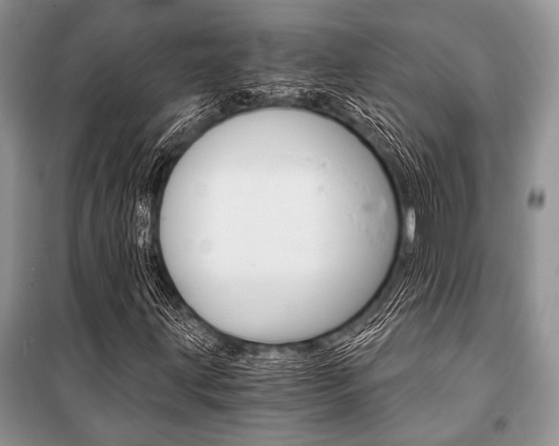 X0000101111203200806261100