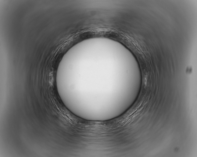 X0000101111204200806261100