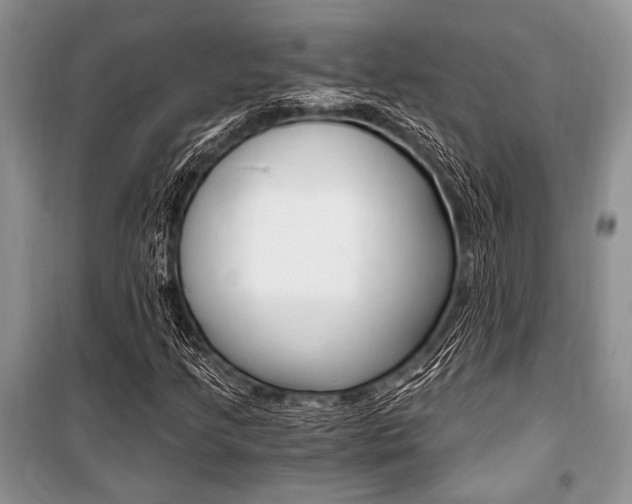 X0000101111205200806261100