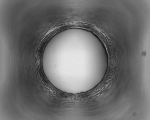 X0000101111206200806261100