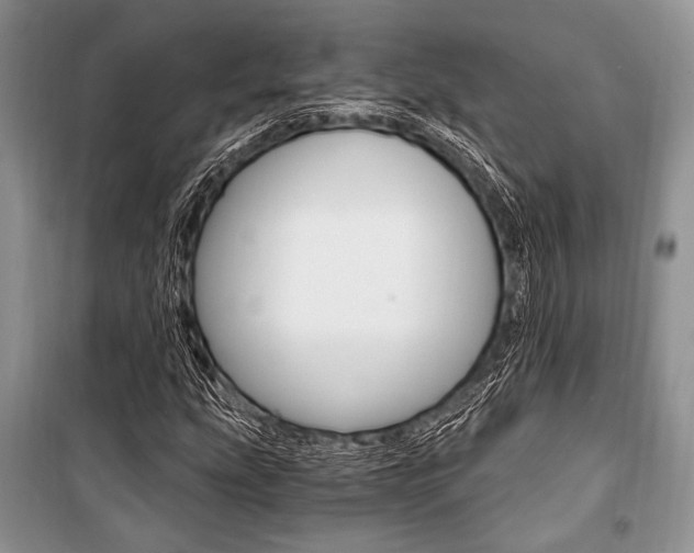 X0000101111207200806261100