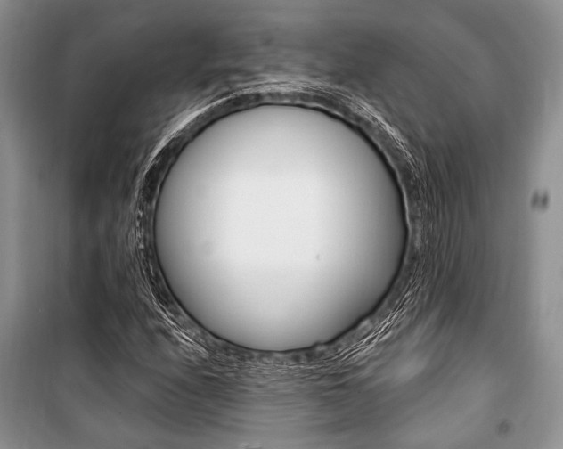 X0000101111208200806261100