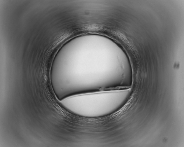 X0000101111209200806261101