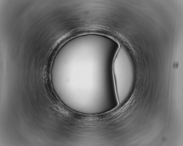 X0000101111210200806261101