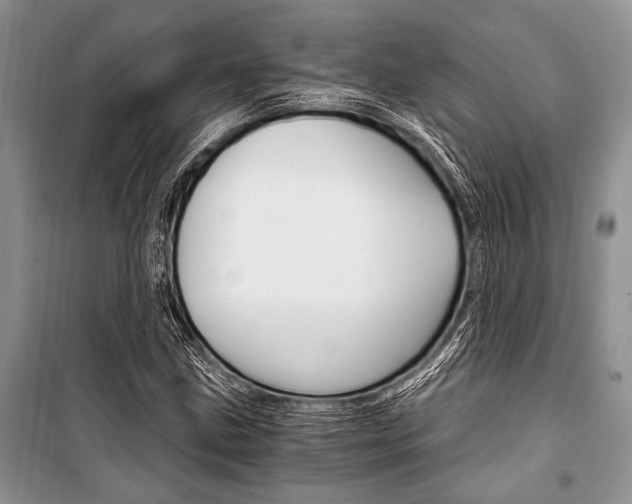 X0000101111211200806261101