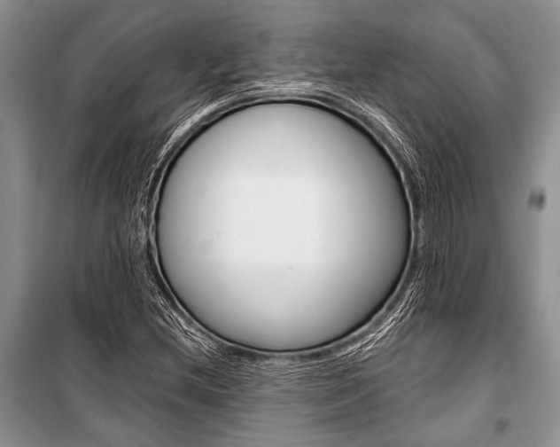 X0000101111212200806261101
