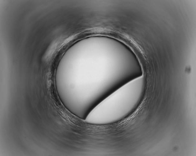 X0000101111213200806261101