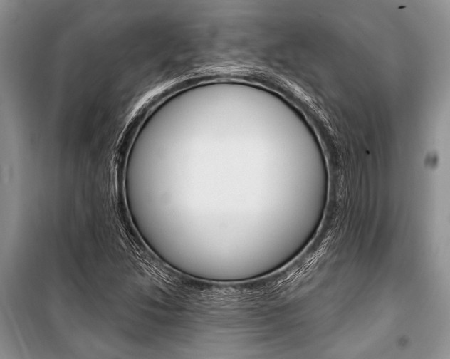 X0000101111214200806261101