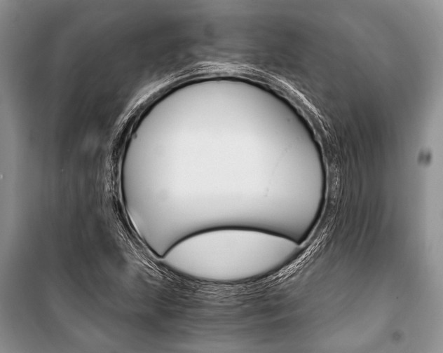X0000101111215200806261101