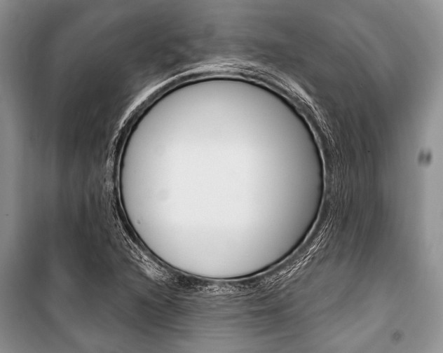 X0000101111216200806261101