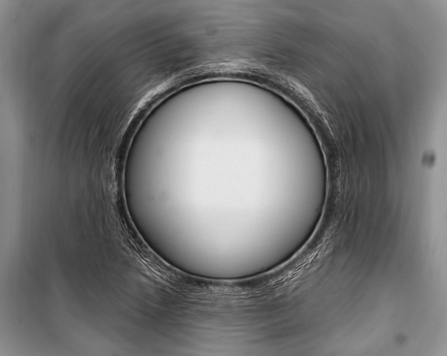 X0000101111218200806261101